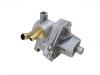 Vacuum Pump, Brake System:77 00 858 480